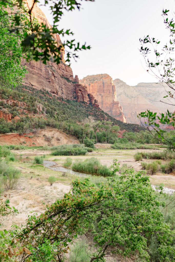 views of zion national park